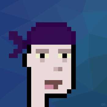 NPunk #1208